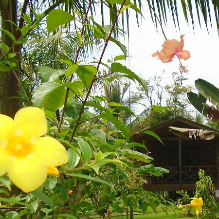 J And H Garden Cabinas Bocas del Toro Exterior foto