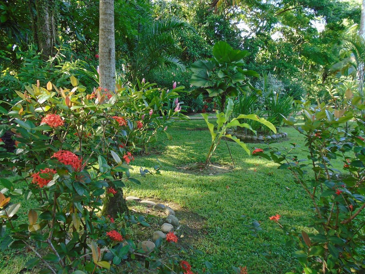 J And H Garden Cabinas Bocas del Toro Exterior foto