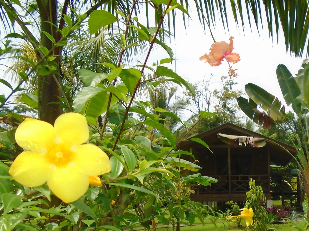 J And H Garden Cabinas Bocas del Toro Exterior foto